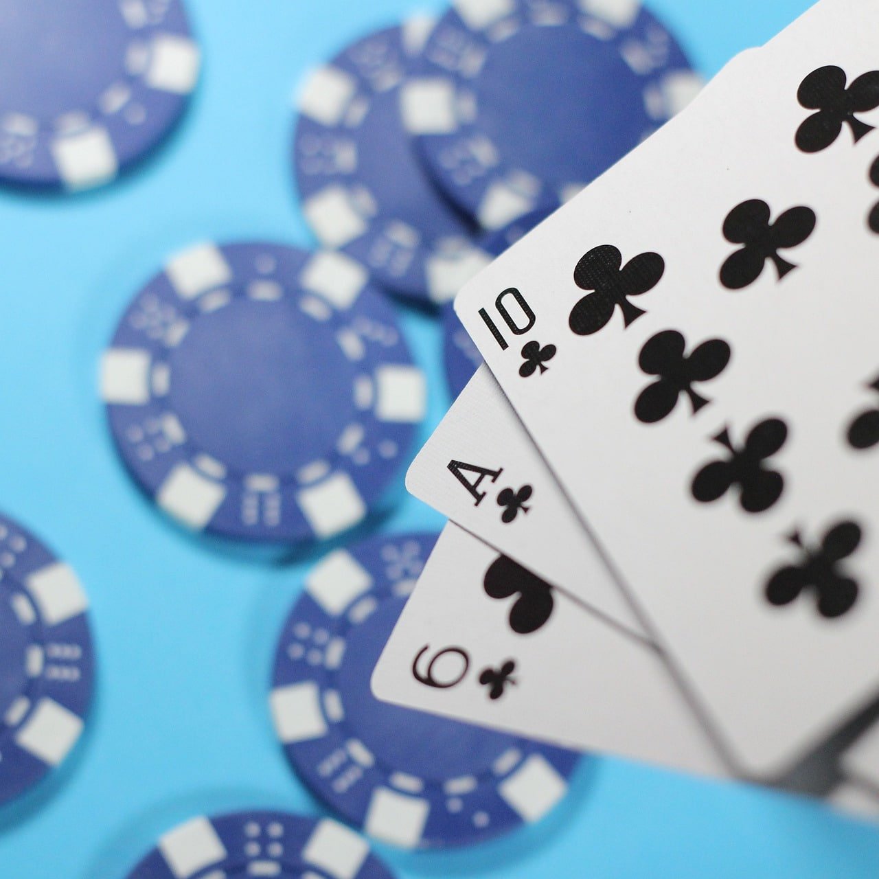 stake casino