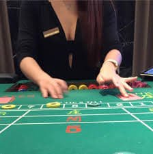 stake casino